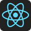 www.xn--ecohs-bva.is favicon